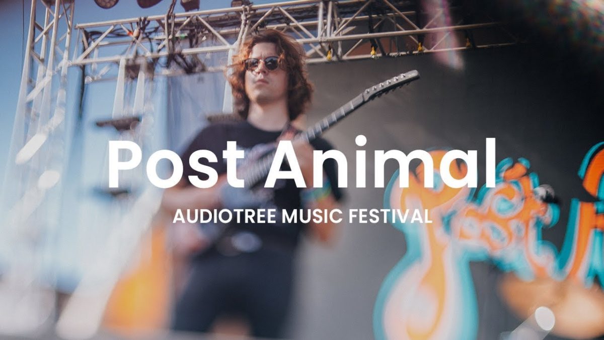 Post Animal - Ralphie | Audiotree Music Festival 2018