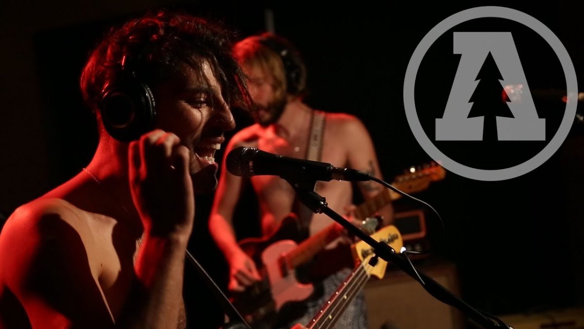 Sexy Zebras - Búfalo Blanco - Audiotree Live (5 of 6)
