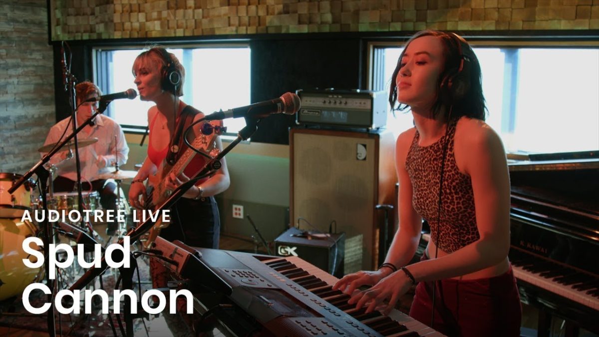 Spud Cannon - Runaway Strays | Audiotree Live