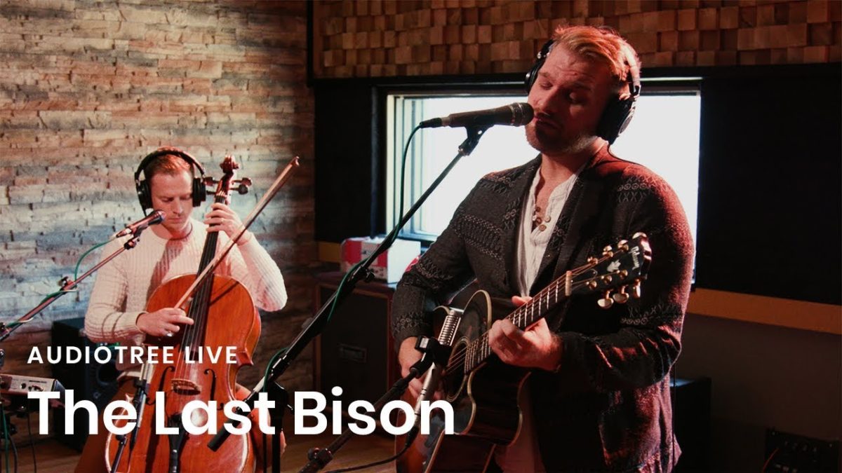 The Last Bison - Cold Night | Audiotree Live