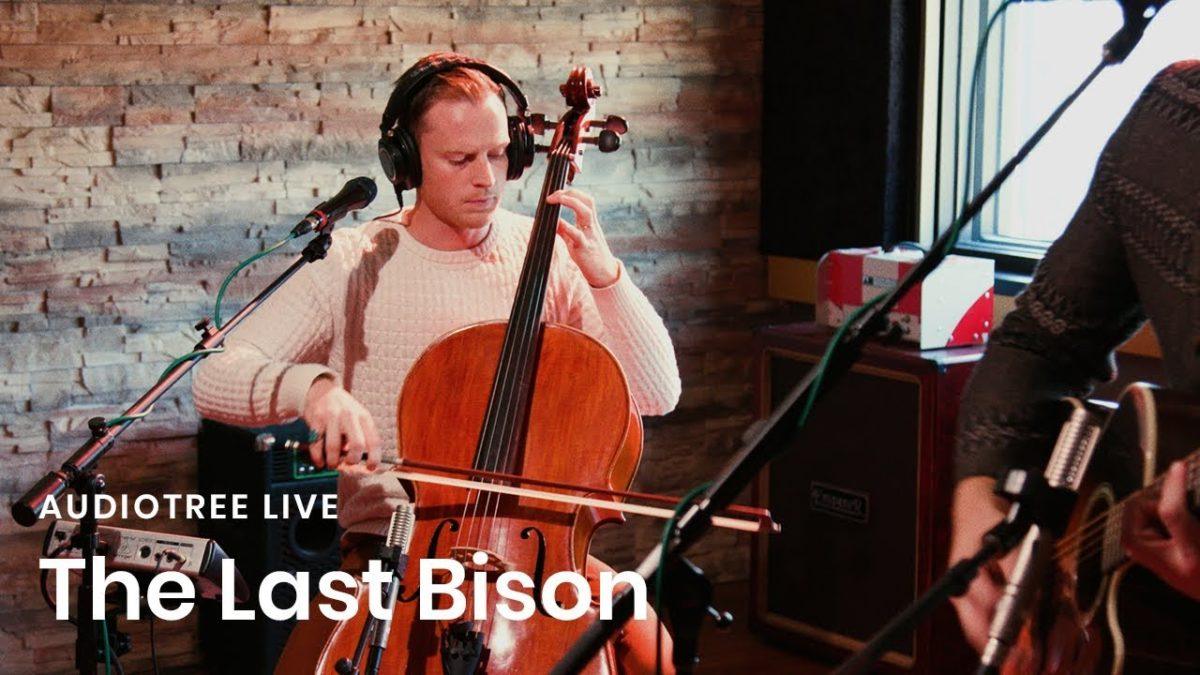 The Last Bison - Don't Look Away | Audiotree Live