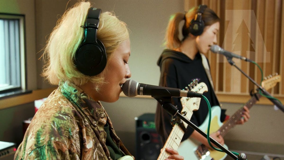 tricot - potage | Audiotree live