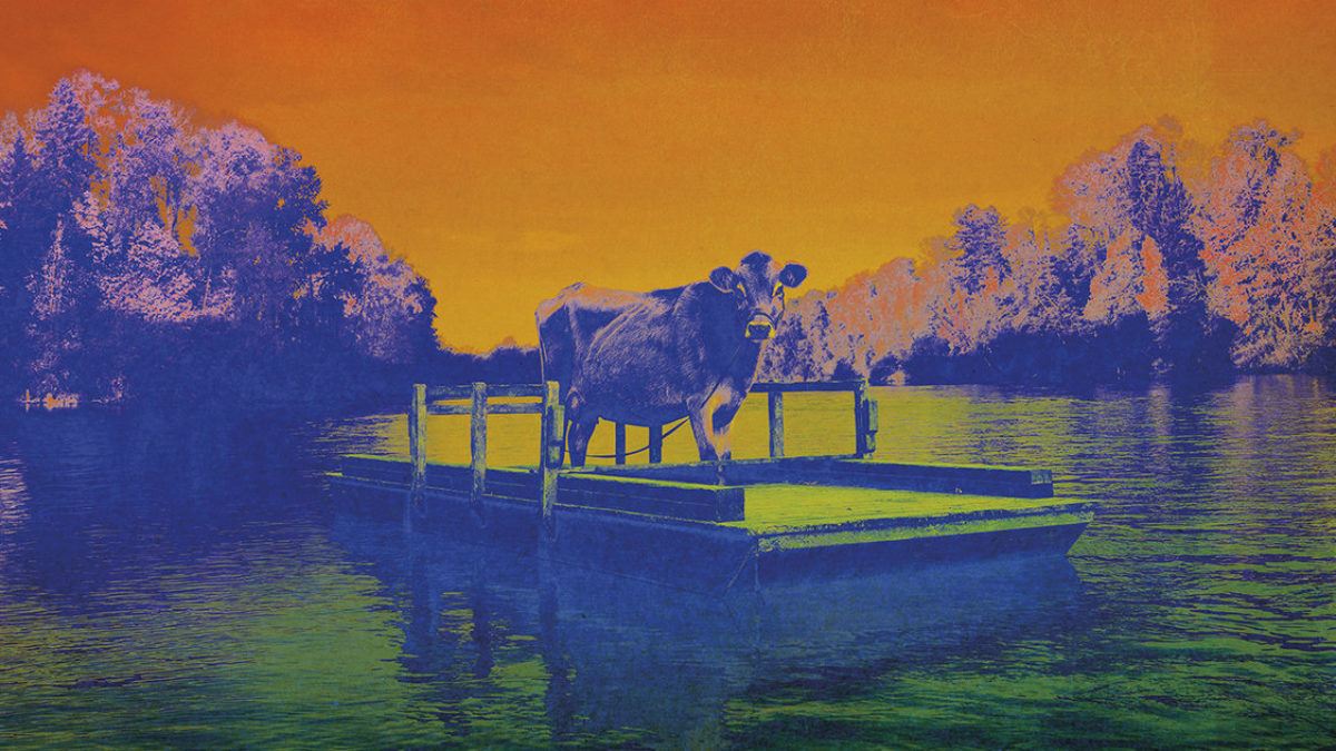 William Tyler Announces 'Music From First Cow' Soundtrack Album