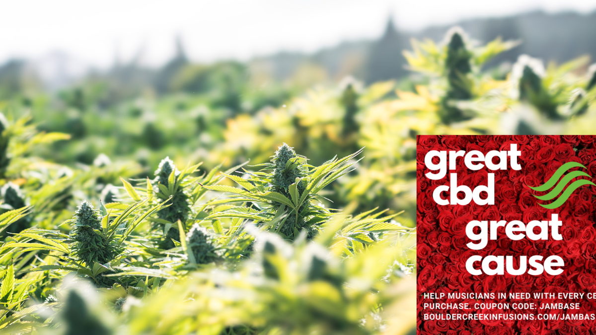 Special Offer: $5 Off CBD For You + $5 Supporting Artists Efforts To Keep The Music Alive From Boulder Creek Infusions
