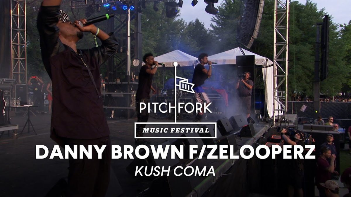 Danny Brown & Zelooperz perform "Kush Coma" - Pitchfork Music Festival 2014