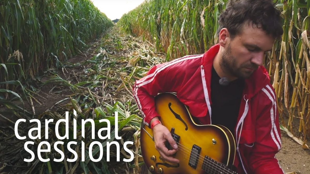 Das Paradies - Hinter deiner schönen Stirn - CARDINAL SESSIONS (Haldern Pop Special)