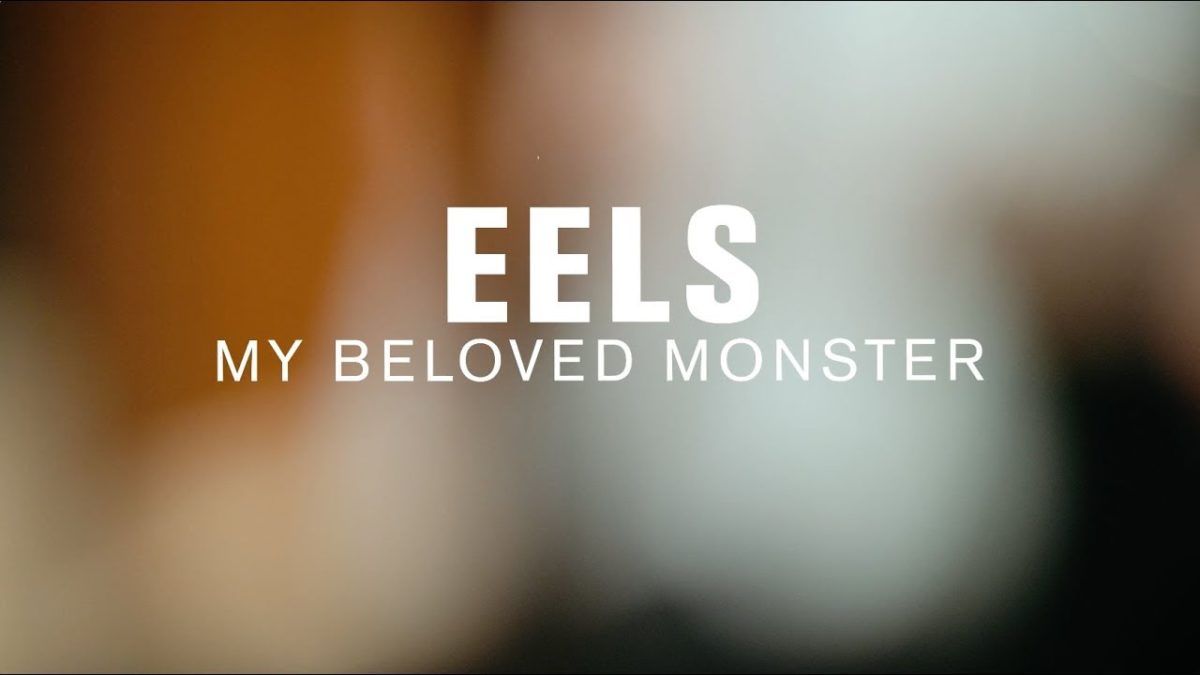 Eels - My Beloved Monster (Live at The Current)