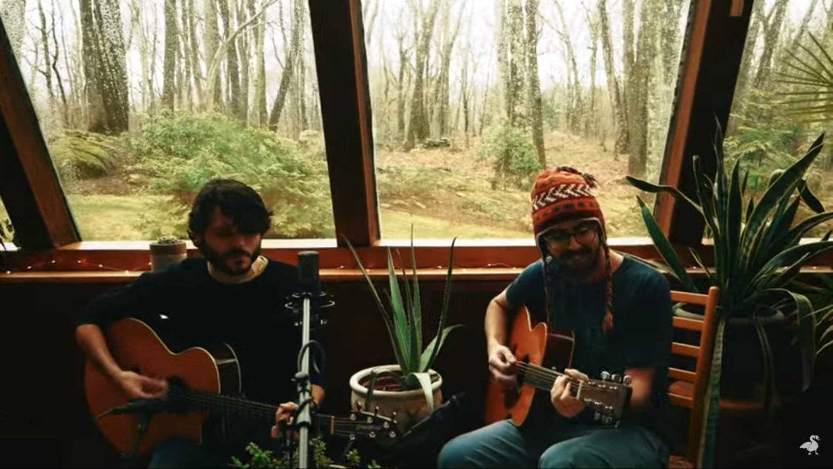 Goose Rick Mitarotonda Peter Anspach John Prine Cover