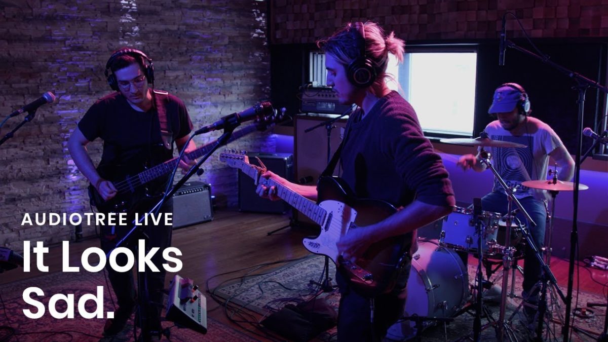 It Looks Sad. - Drool | Audiotree Live