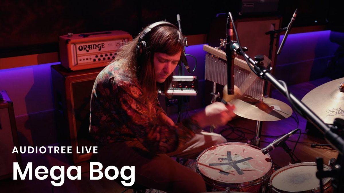 Mega Bog - Diary of a Rose | Audiotree Live