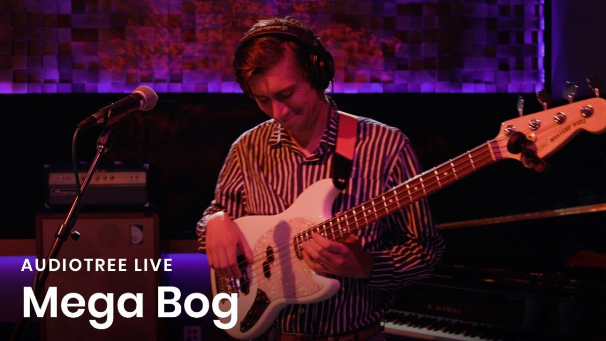 Mega Bog - I Hear You Listening (to the Bug on My Wall) | Audiotree Live