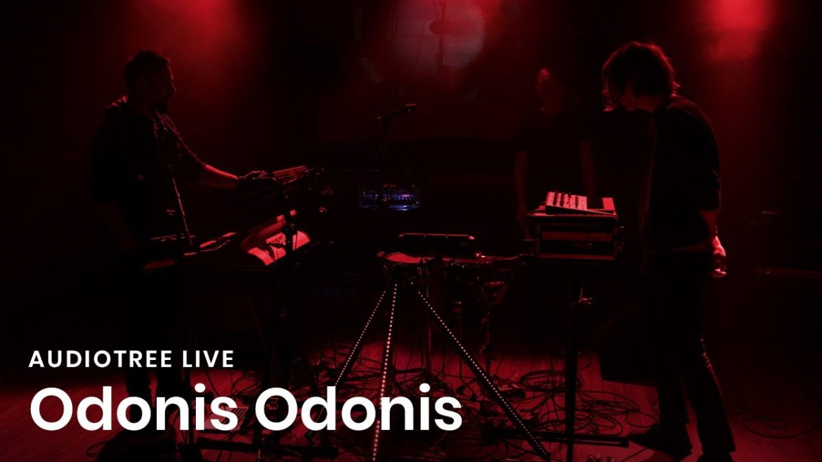 Odonis Odonis - Collector | Audiotree Live