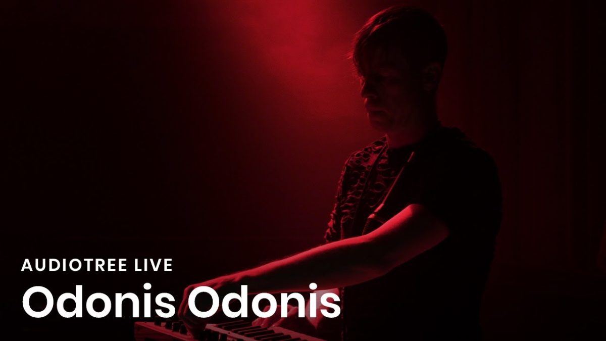 Odonis Odonis - Insect | Audiotree Live