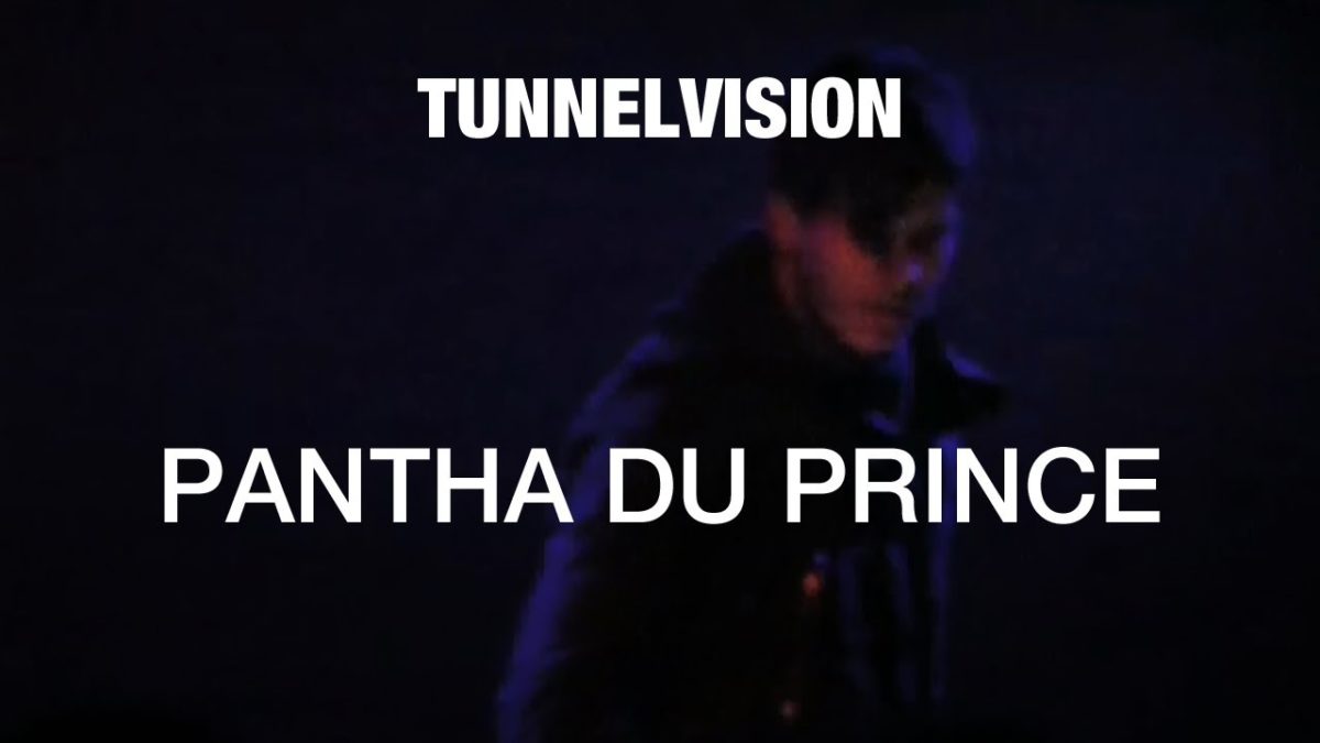 Pantha Du Prince - Tunnelvision