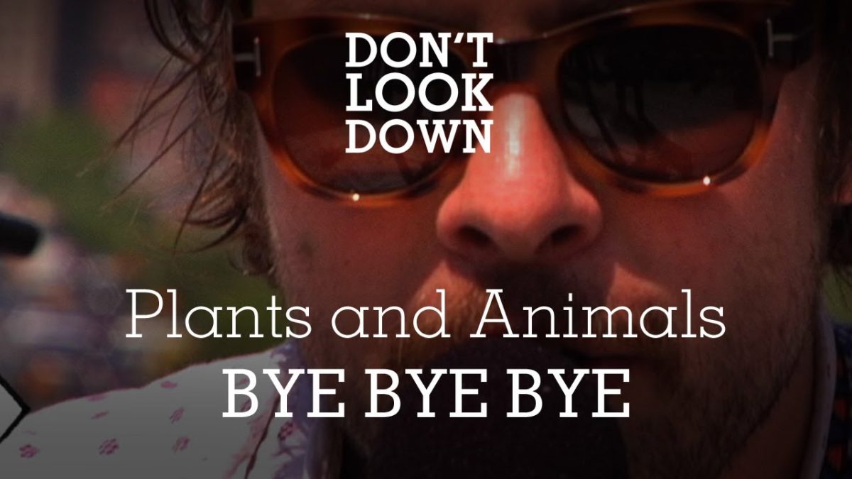 Plants And Animals - Bye Bye Bye - Don't Look Down