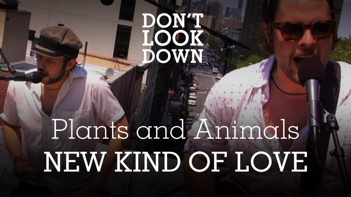 Plants And Animals - New Kind Of Love - Don't Look Down