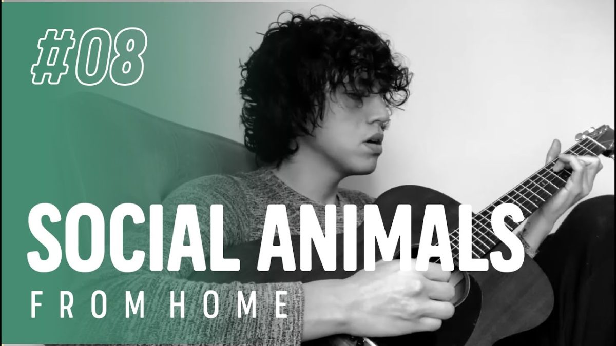 Social Animals - Get Over It - From Home - CARDINAL SESSIONS