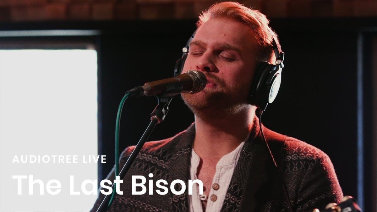 The Last Bison - Gold | Audiotree Live