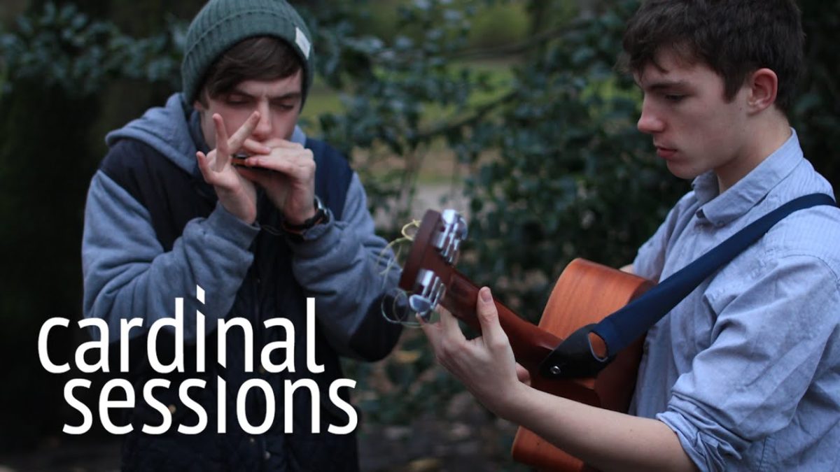 The Ocelots - Songbird - CARDINAL SESSIONS