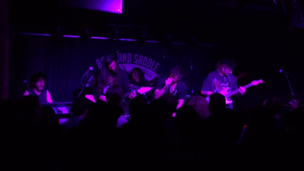 The Voidz - (Boot & Saddle) Philadelphia,Pa 6.11.18 (Complete Show)
