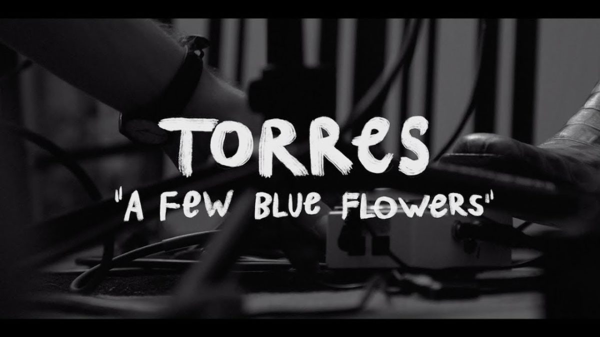 Torres - A Few Blue Flowers (Buzzsession)