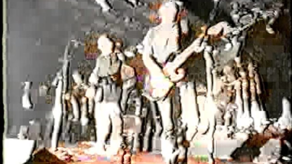 Ween & The Shit Creek Boys 10/26/96 (Part 1 of 4) New York City, NY @ Tramps