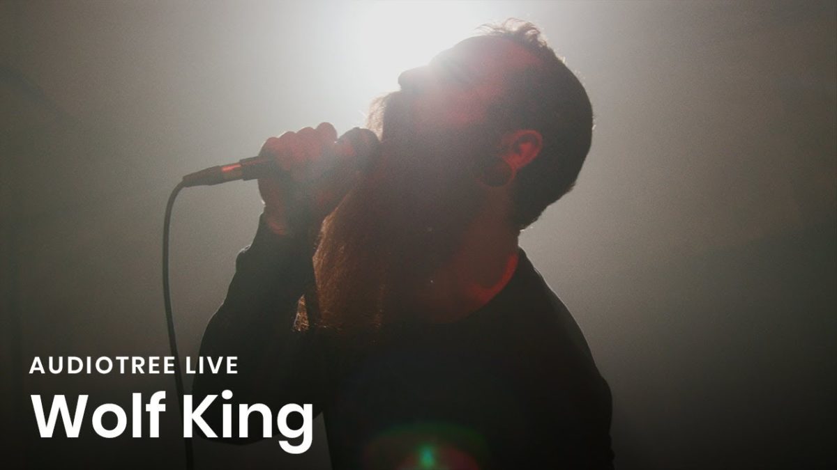 Wolf King - Return to the Flock | Audiotree Live