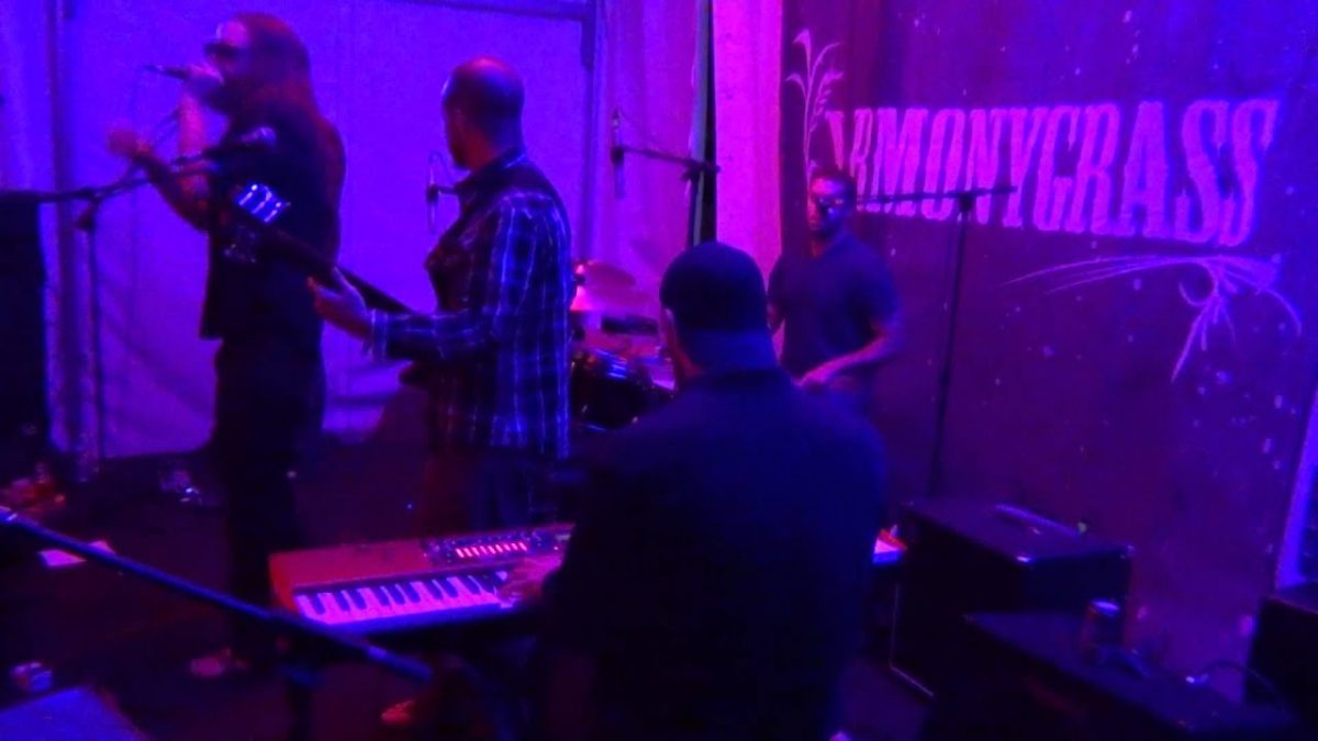 Musketeer Gripweed - full set YarmonyGrass 8-15-14 Rancho Del Rio, CO HD tripod