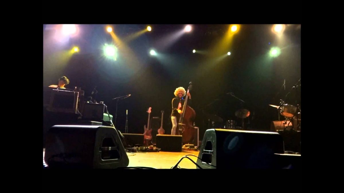 Medeski Martin & Wood Halloween show in NYC