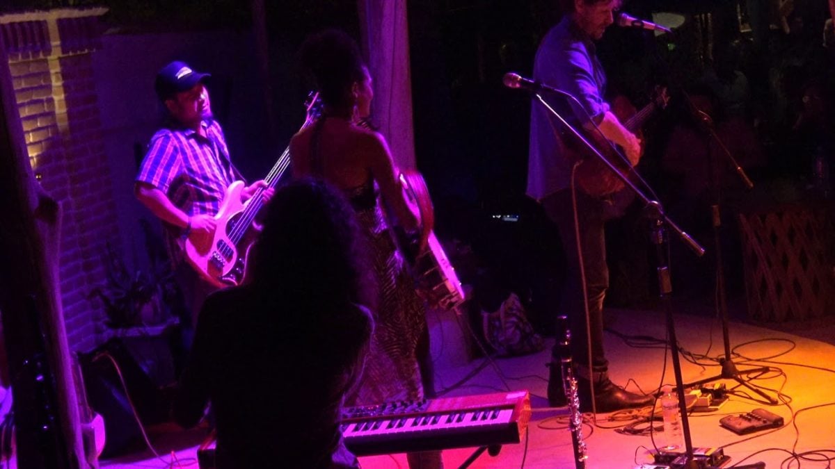 Birds of Chicago - full set 1-17-19 La Equina Todos Santos, MX 4K HD tripod