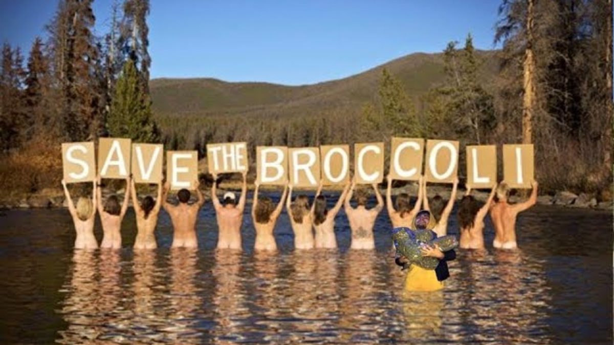 Broccoli Samurai LIVE @ Asheville Music Hall 6-29-2016