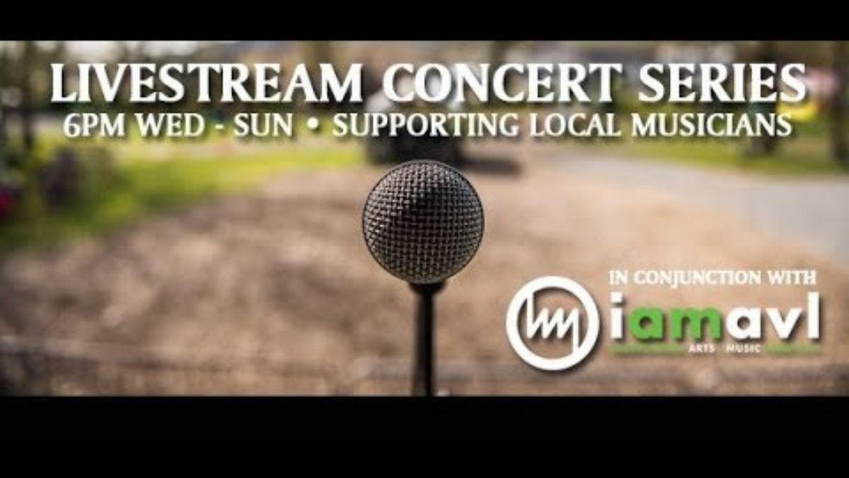 Livestream Concert Series - Travers Brothership @ Pisgah Brewing Co. 3-18-2020