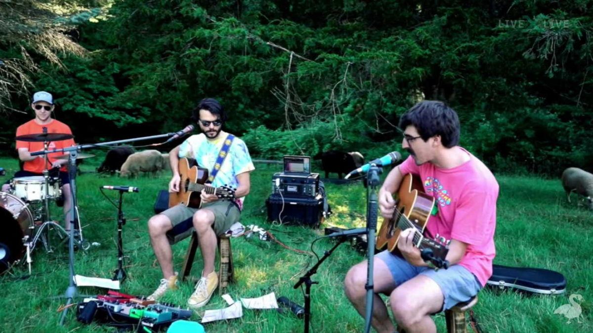 Goose Ends Bingo Tour With Acoustic Set In Sheep Pasture