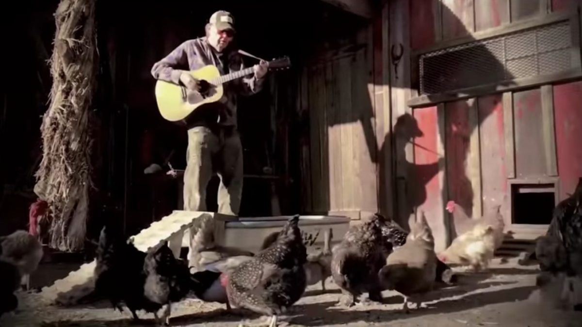 Neil Young Shares ‘Homegrown’ Barnyard Edition Video