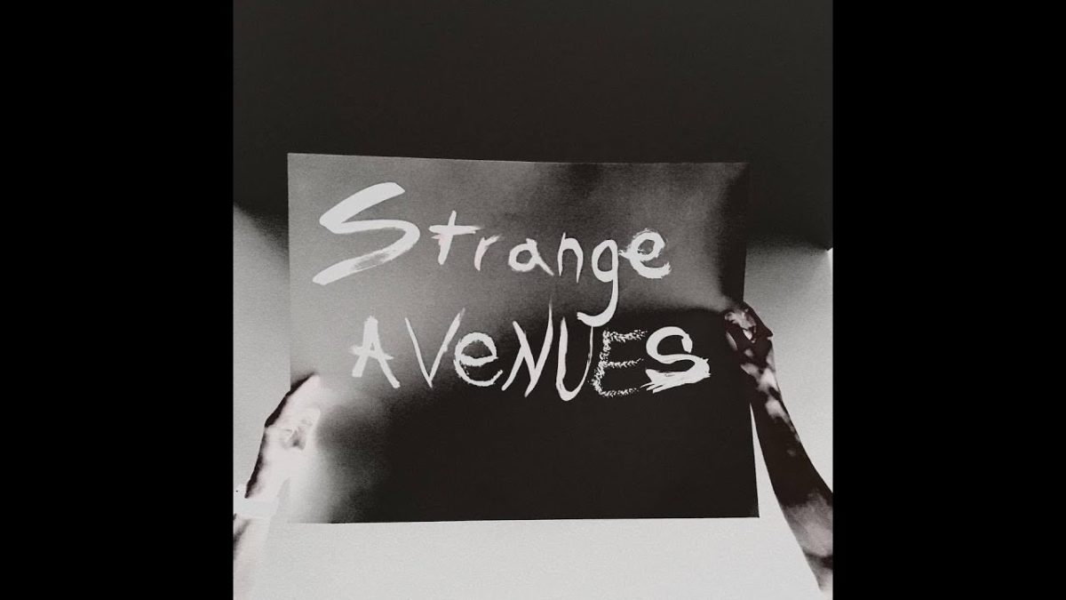 Strange Avenues LIVESTREAM @ Pisgah Brewing Co. 11-18-2017