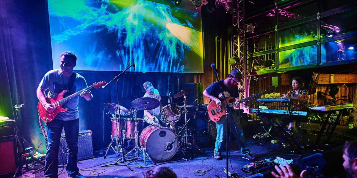 Swindler Live 2020
