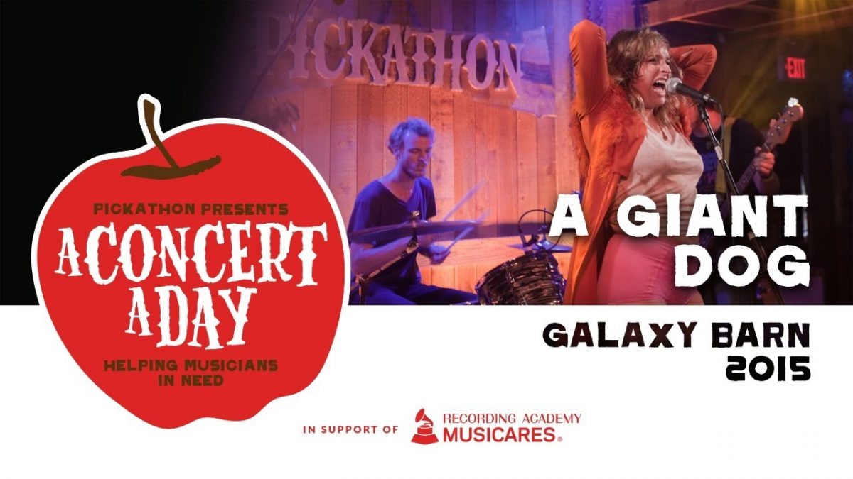 A Giant Dog | Watch A Concert A Day #WithMe #StayHome #Discover #Live #Music