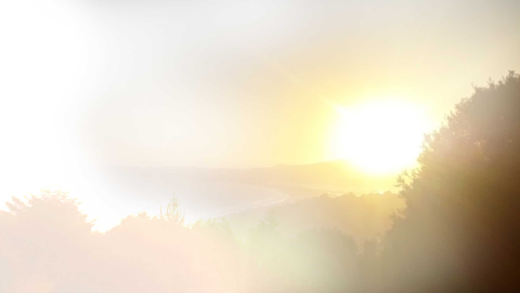 Big Light Releases New Album Anemone