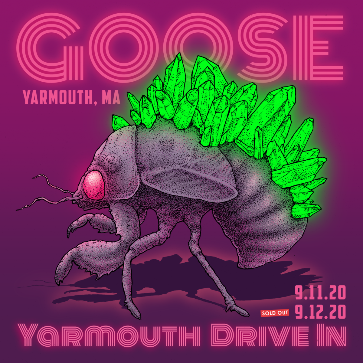 Goose Drive In Second Night