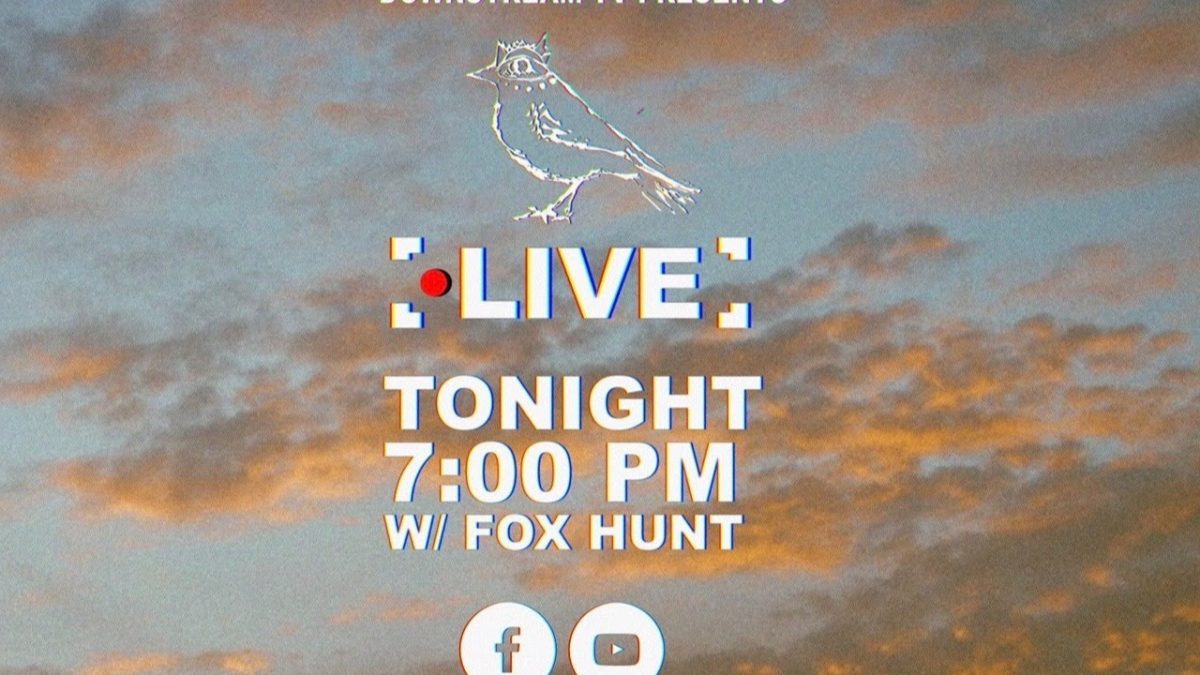 Little Bird & Fox Hunt - Live From the Marsh