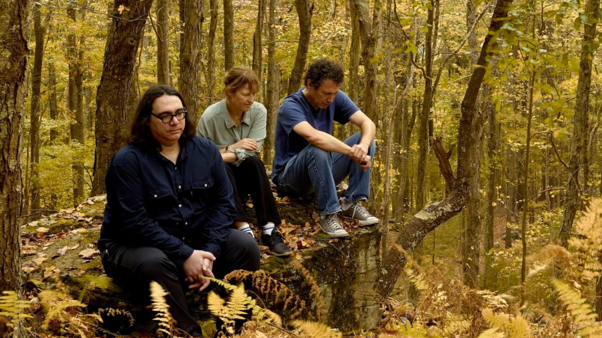 Yo La Tengo Covers Spotify Playlist