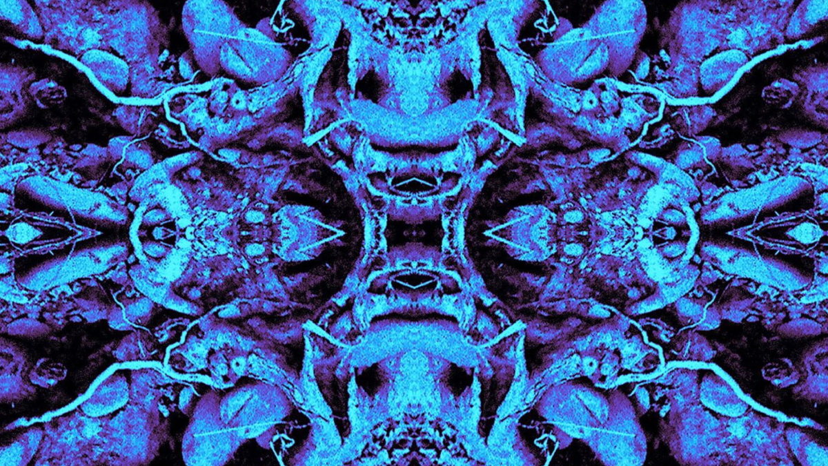 Circles Around The Sun Share Grateful Dead Covers Featuring Neal Casal