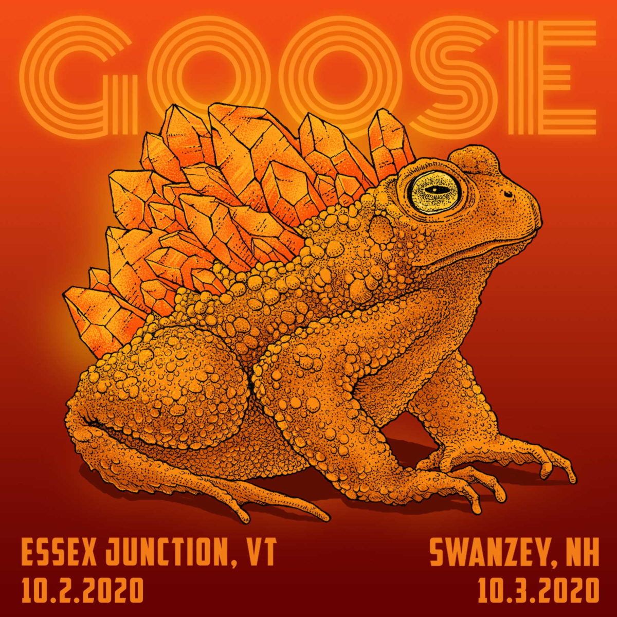 Goose Drive In Vermont New Hampshire