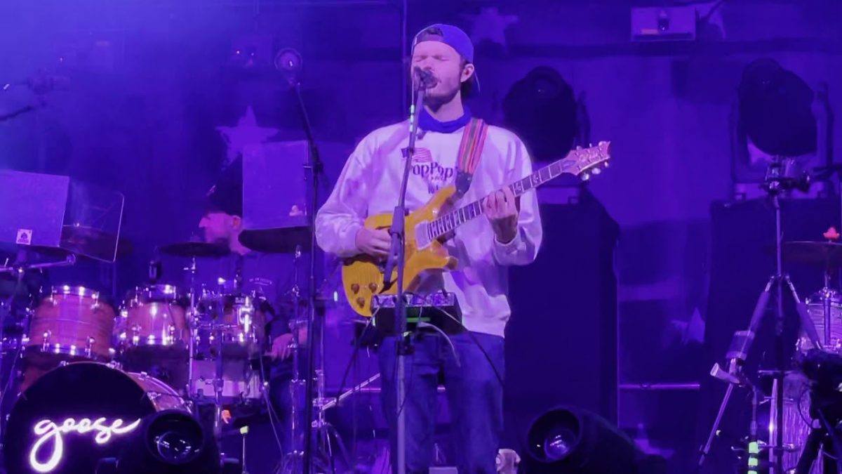“Creatures” ~ “Honeybee” (Goose @ South Farms, Morris, CT) 11/6/20