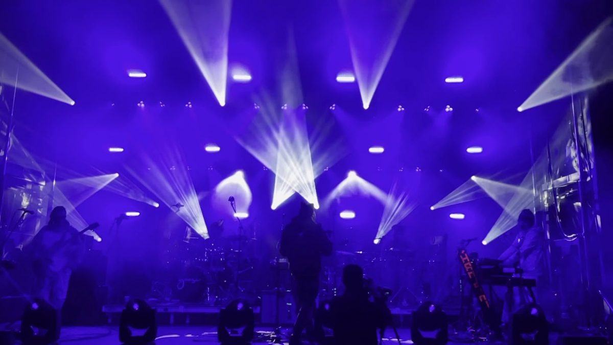 Goose ~ Set One ~ South Farms, Morris, CT 11/7/20