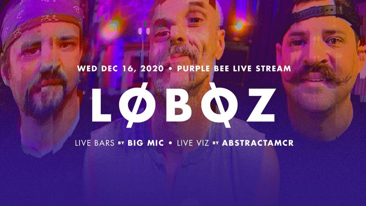 LoBoZ • Purple Bee Groove Party