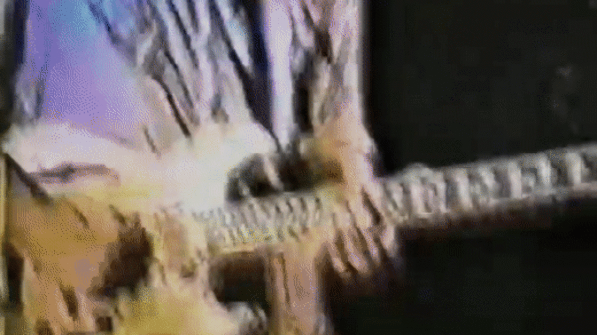Phish Video Featuring 1990 Performance At The Front Surfaces On YouTube