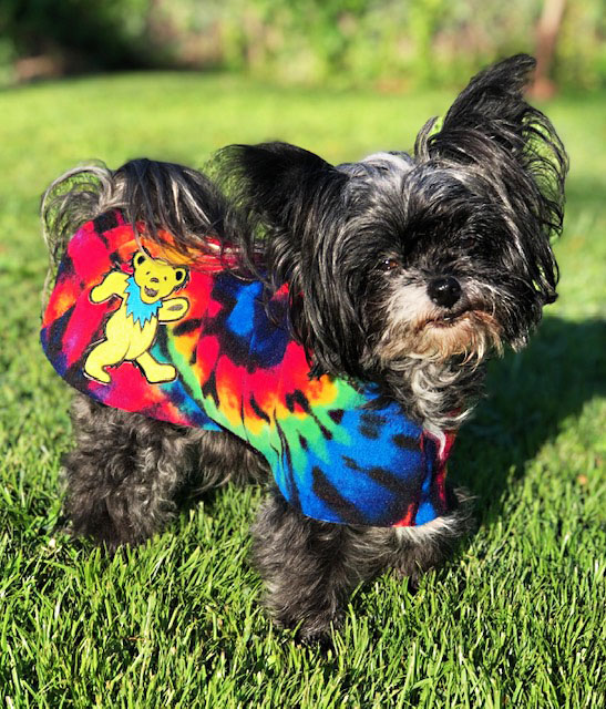 Dolly Hippie Tie Dye