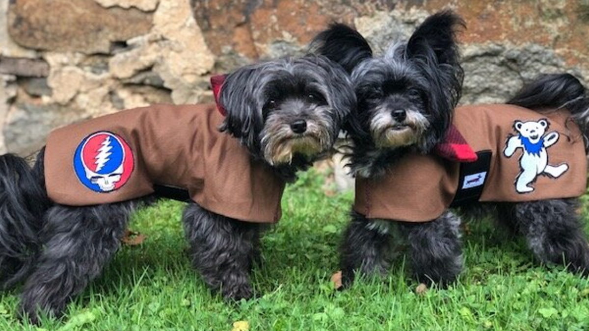 Snugpups Grateful Dead Dog Coats: Now Your Pup Can Be A Deadhead Too!