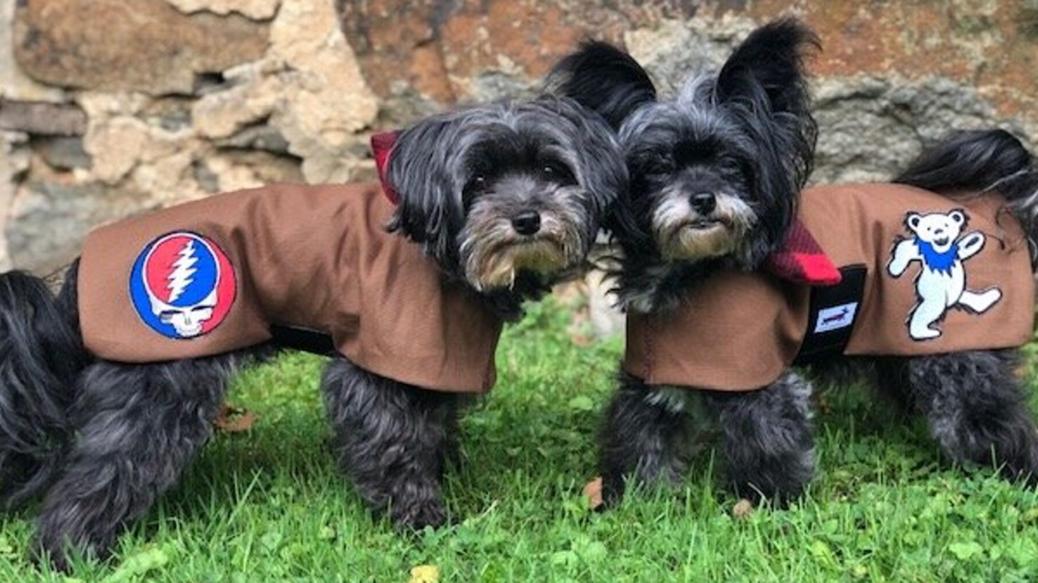 grateful dead dog sweater